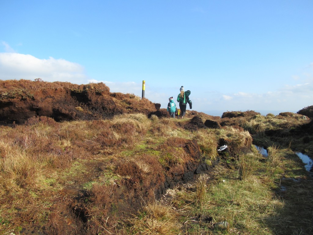 Track showing history of turf cutting