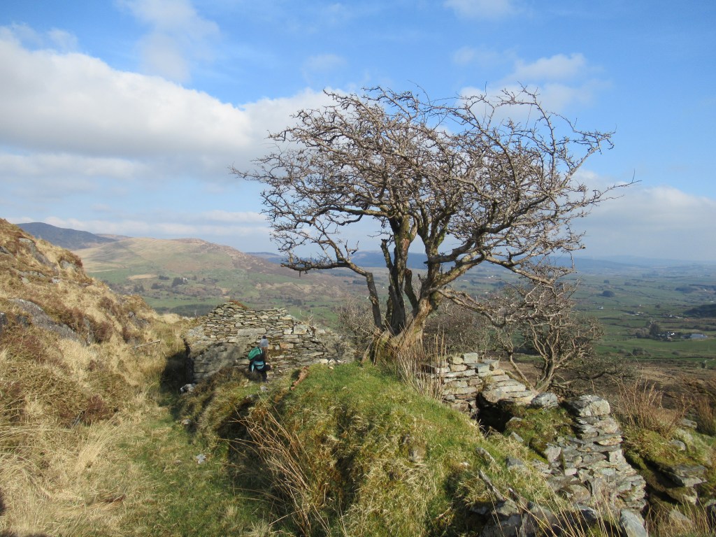 George the Sky House, Glanaclohy, near Drimoleague