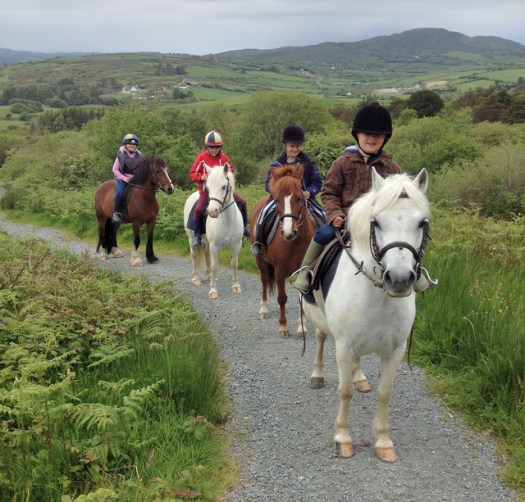 Bantry Bay Pony Trekking