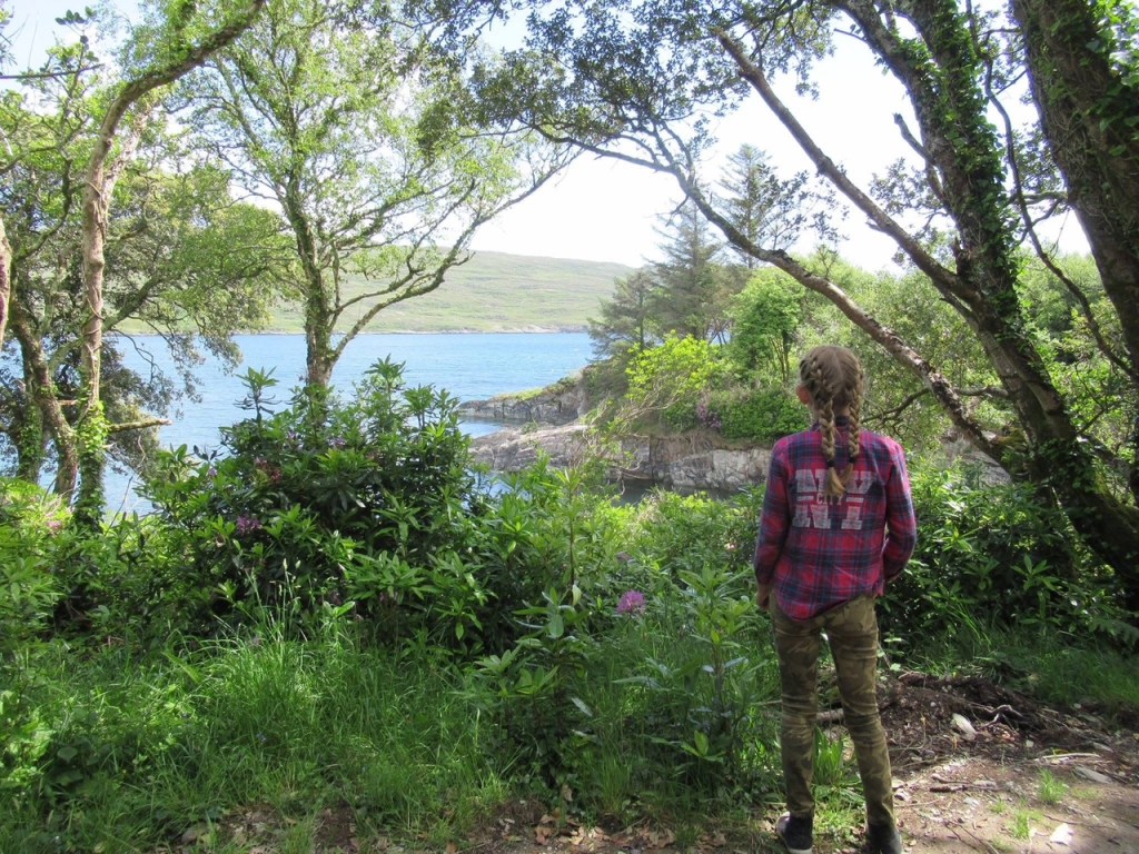 Child admiring the views on the Bullig Bay Loop walk in the Dunboy Woods near Castletownbere.