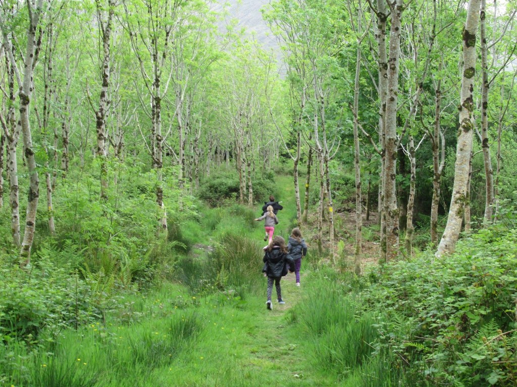 Children running in the Mealagh Valley Woods.