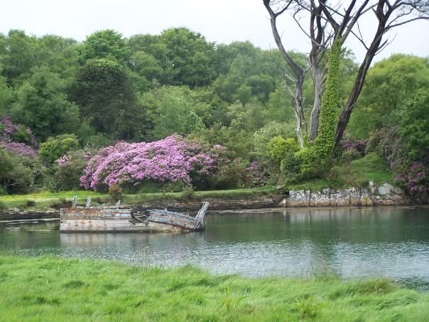 Dunboy Woods is a scenic place to visit.